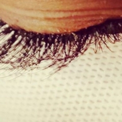 Lashes-by-Mervat-Estaetix-Ebstorf-2